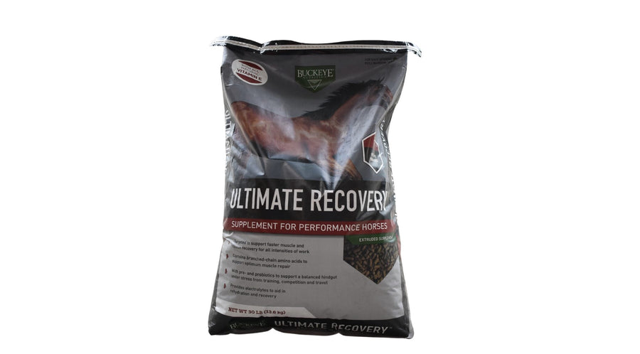 Ultimate Recovery Horse Feed Supplement, 18% Protein