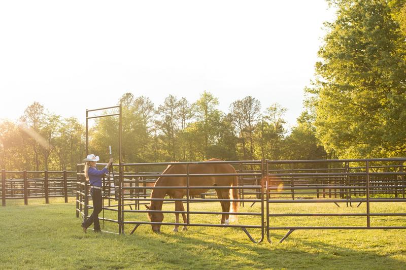 70' Equestrian World Horse Round Pen, 18 Panels & Walk-Thru