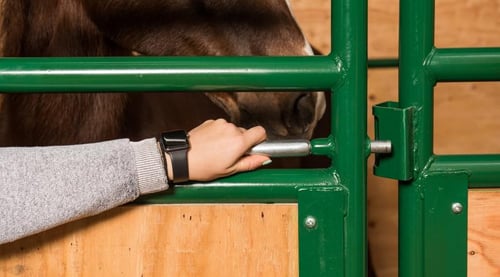 Expo Horse Stall Panels, Front & Side — alternate view 3