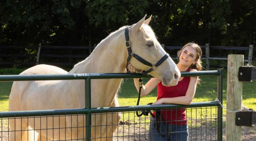 2" Wire Filled Horse Gate, Green Steel, 4' to 16' — alternate view 4