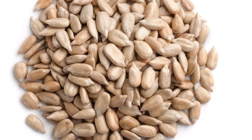 Sunflower Heart Chips, 10 or 50 lb