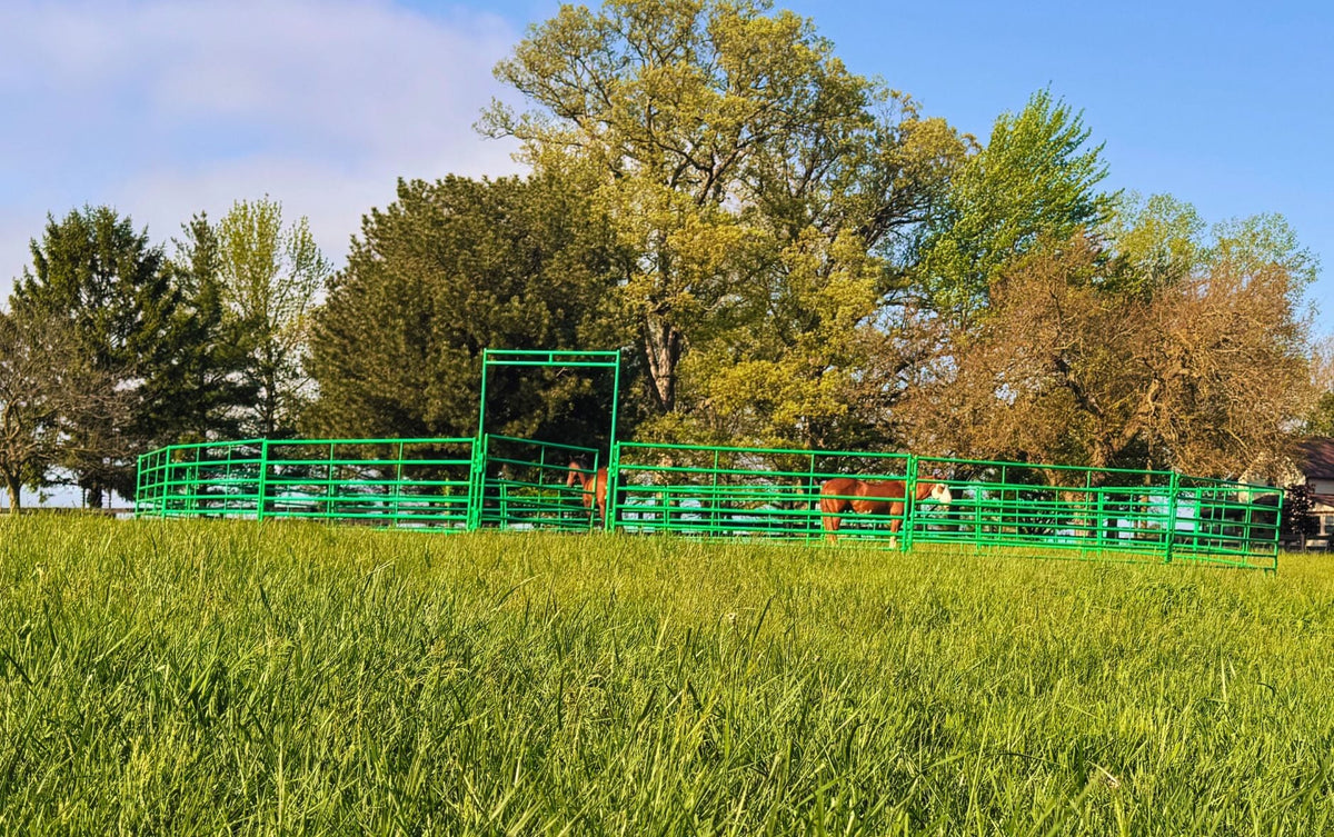 5' High Cashmans CS Safety Horse Panels or Walk-Thru — alternate view 5