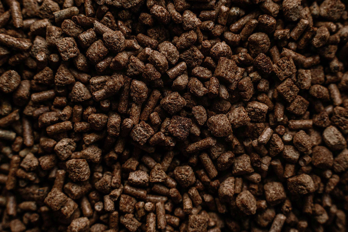 EQ8 Gut Health Digestive Support Horse Feed