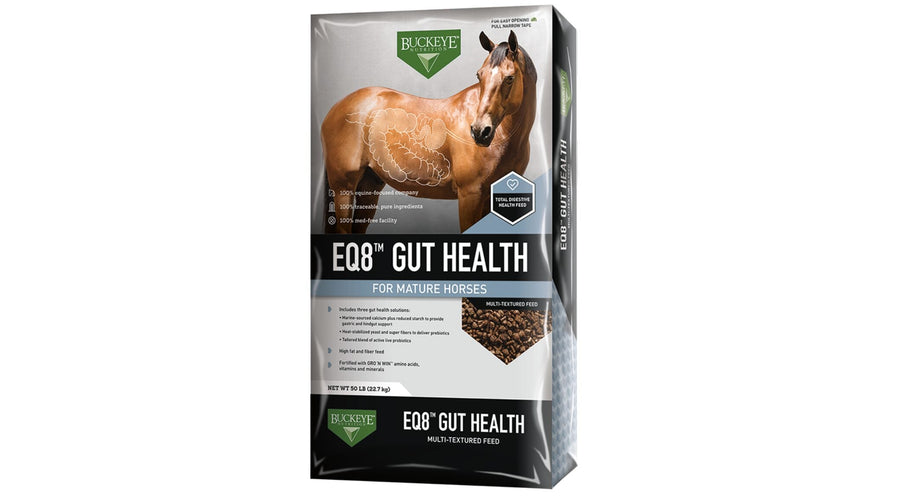 EQ8 Gut Health Digestive Support Horse Feed