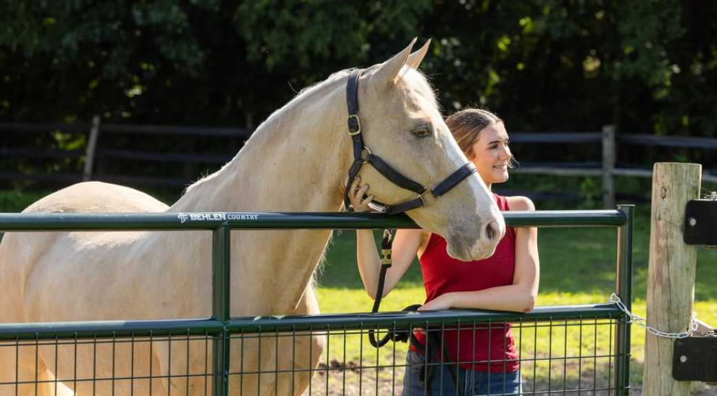2" Wire Filled Horse Gate, Green Steel, 4' to 16' — alternate view 5