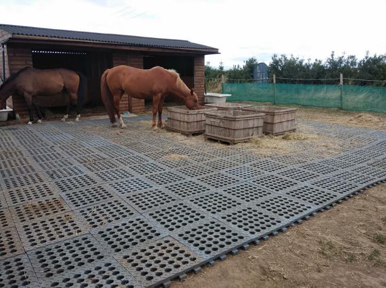 Stable Ground Mud Solution Grids, 1 to 30 — alternate view 7