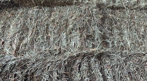 Orchard Grass & Alfalfa Horse Hay, 1st or 2nd Cutting