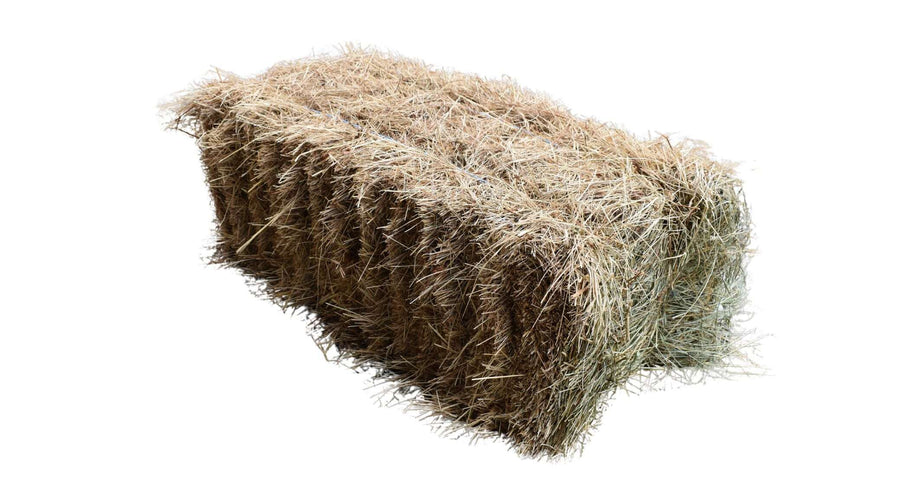 Bale of Straw for Bedding & Mulch