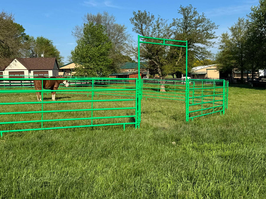 40' Cashmans CS Safety Horse Round Pen, 10 Panels & Walk-Thru