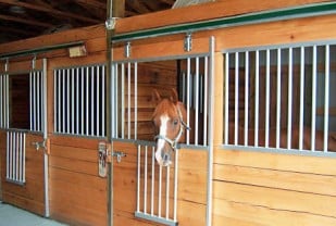 Aluminum Stall Drop Down Socializing Door for Horses