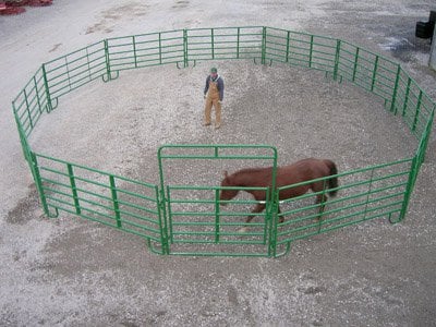 80' Cashmans Heavy Duty Horse Round Pen, 21 Panels & Walk-Thru - 6' High