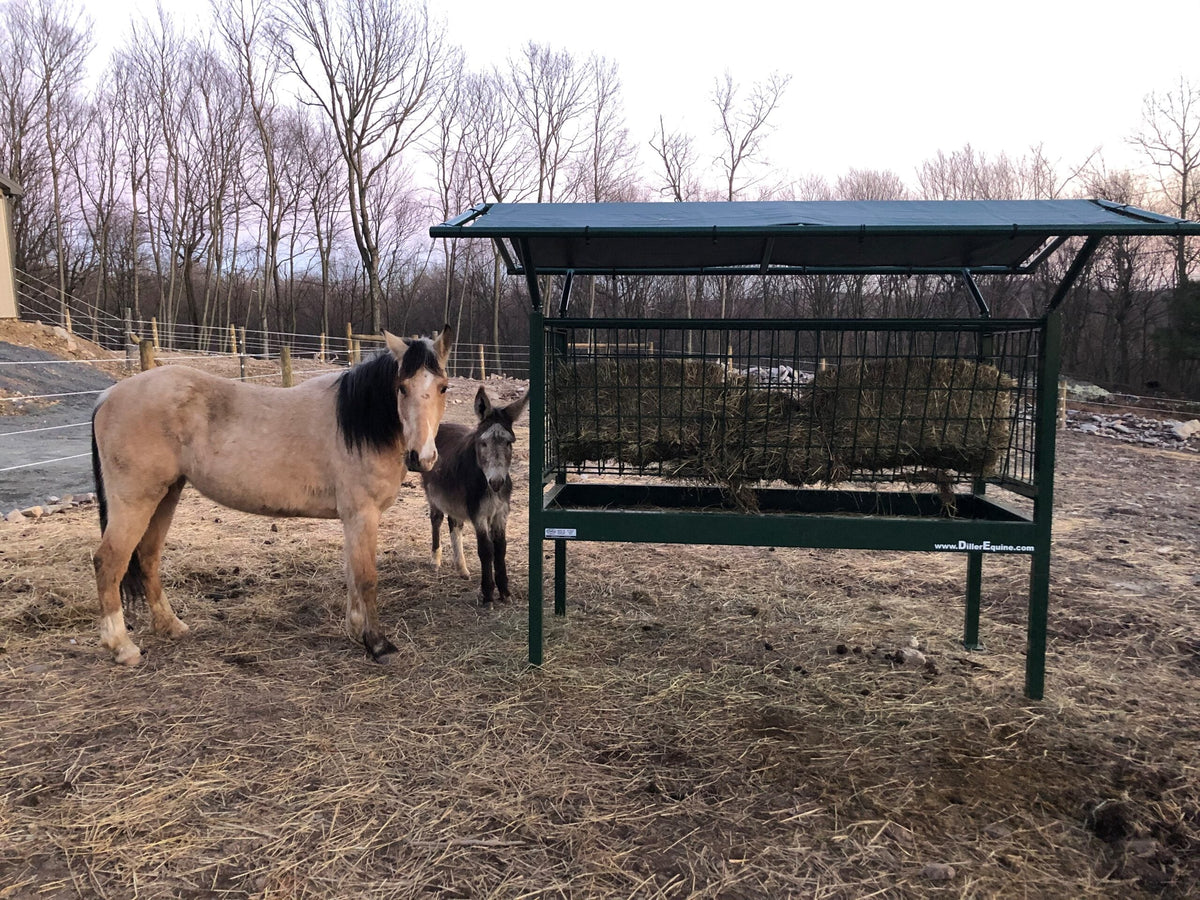 Heavy Duty Small Square Bale Pasture Feeder for Horses, 4' or 8' — alternate view 8