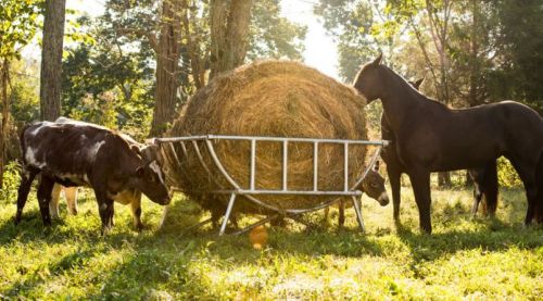Galvanized Hay Cradle Round Bale Feeder, Reduces Waste