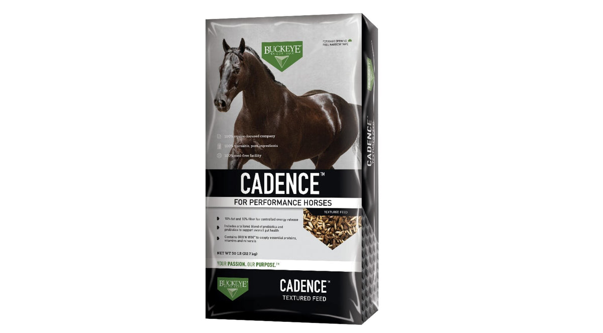 Cadence Horse Feed, 10% Protein