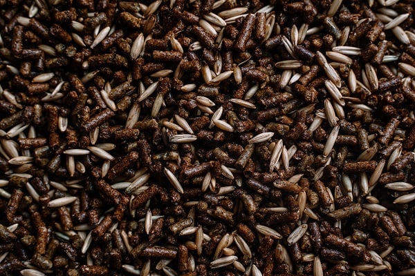 Cadence Horse Feed, 10% Protein — alternate view 2