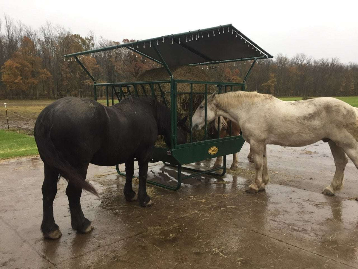 Heavy Duty Round Bale Pasture Feeder with End Gate for Horses