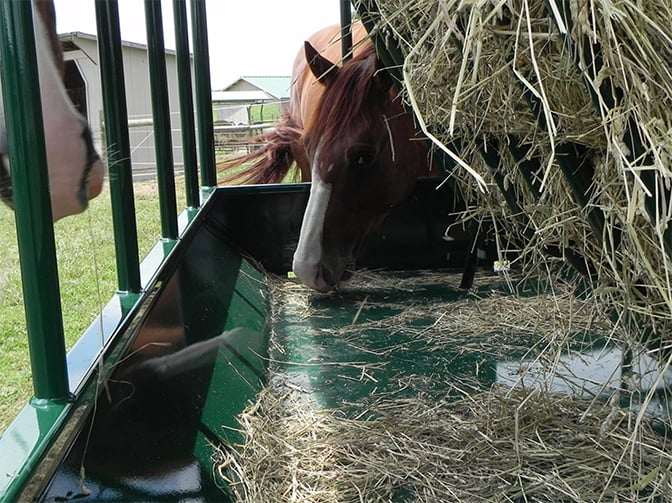 Heavy Duty Round Bale Pasture Feeder with End Gate for Horses