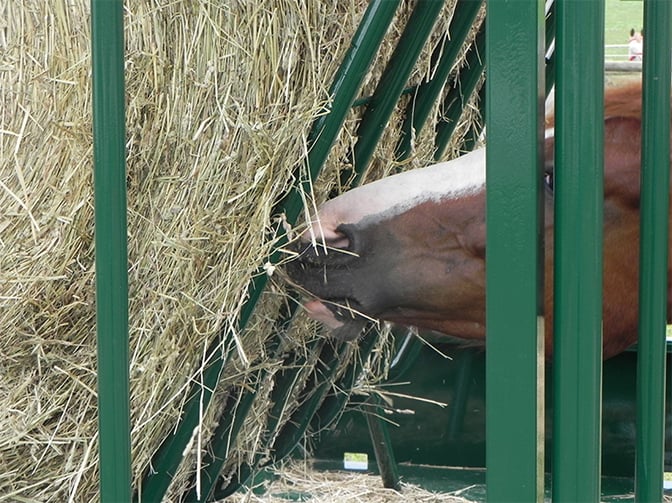round bale hay feeder