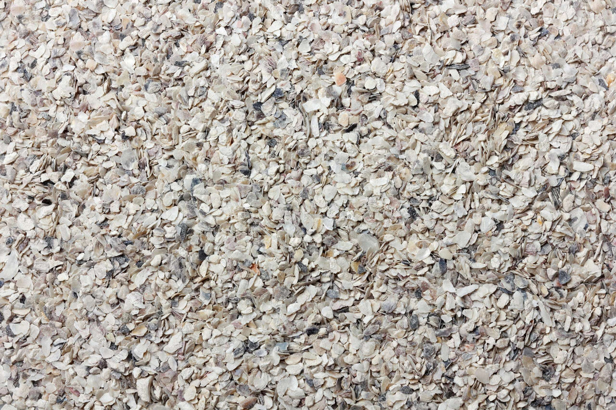 Crushed Oyster Shells for Poultry Calcium Supplement