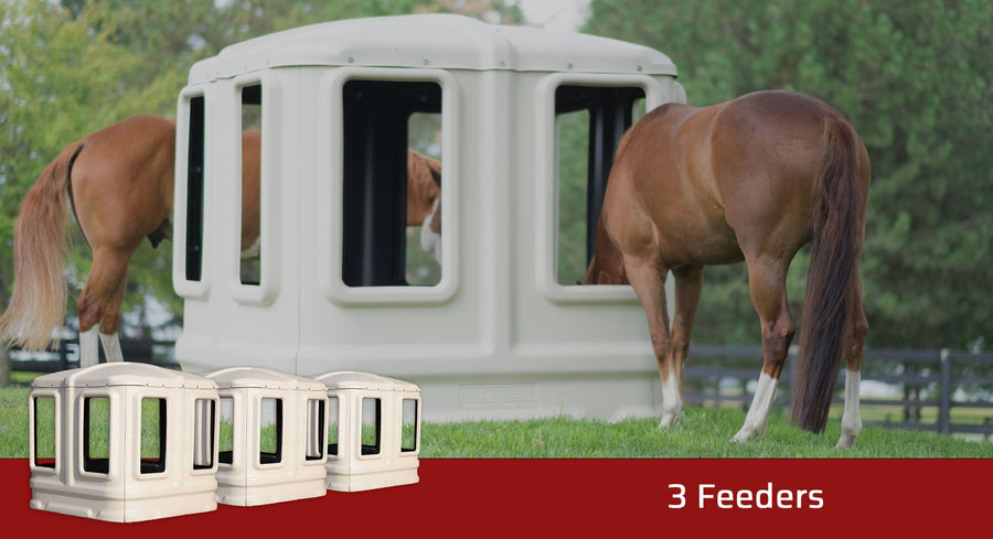 Cashmans All Weather Horse Hay Feeder, Bundle of 3