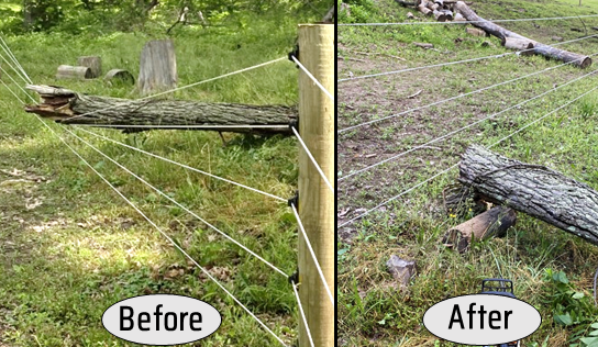 Fence line standing strong after a storm