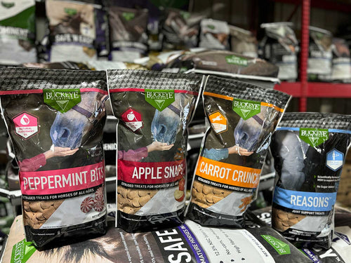 Four bags of Buckeye Creek Equine Groundnut Treats for horses lined up on a store shelf. The bags are labeled Peppermint Bit, Apple Snaps, Carrot Crunch, and Reasons.