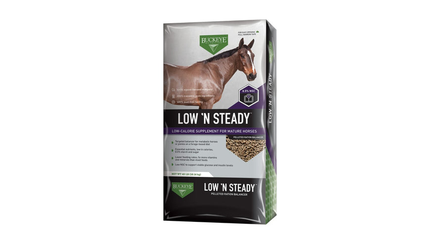 Low N' Steady Horse Feed Balancer, 24% Protein