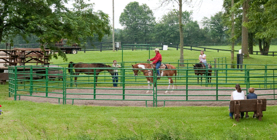 60' Cashmans Super Duty Horse Round Pen, 15 Panels & Walk-Thru - 6' High