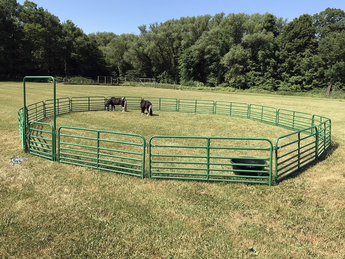 Cashmans Mini Horse, Sheep & Goat Panels or Walk-Thrus, 4' to 10' — alternate view 6