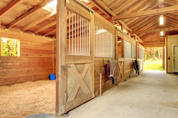 Row of aluminum horse stalls inside a barn