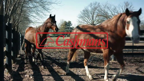  Cashmans Mud Grids