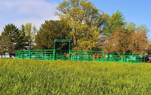 70' Cashmans CS Safety Horse Round Pen, 18 Panels & Walk-Thru