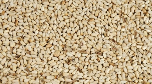 Safflower Seeds for Wild Birds, 10 or 50 lb