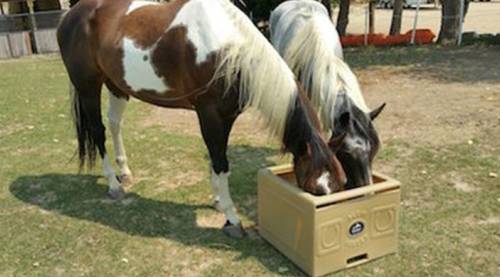 Slow Feeder Hay Saver Box for Horses — alternate view 2