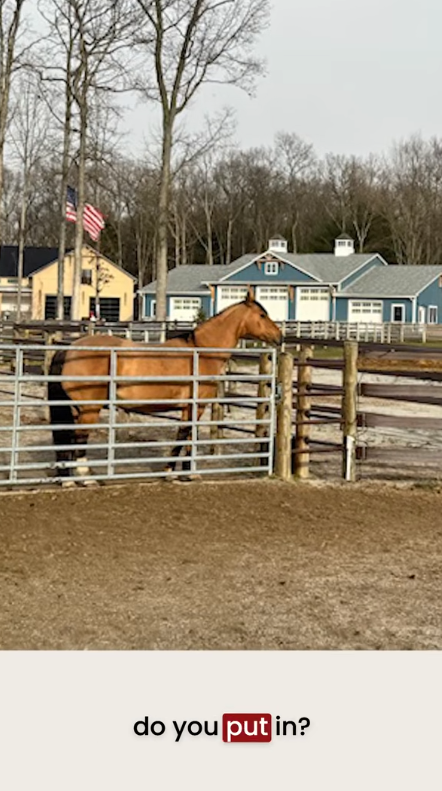 First-Time Ranch Owner Lost a Horse to a Fence Injury and Invested in a Safer Future with Cashmans