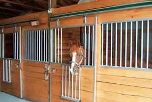 Horse looking out through the metal bars of a wood-framed stable stall door