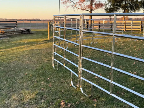 Galvanized livestock corral panels connected at a gate section in a farm pasture at sunset