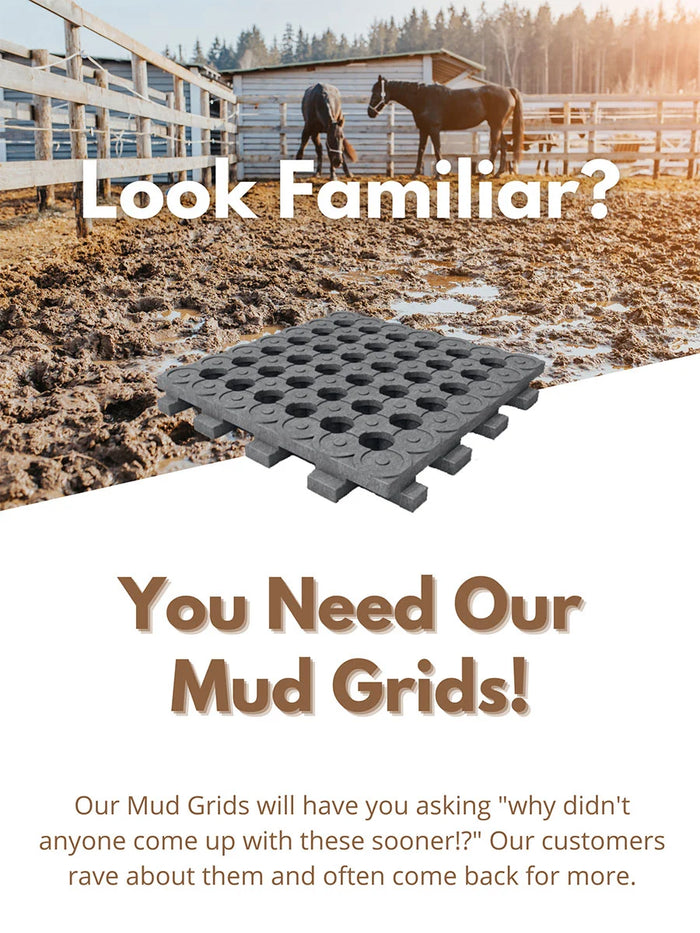 Muddy horse paddock next to a mud grid panel