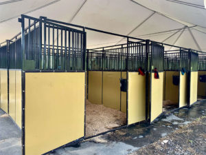 Premium portable stall