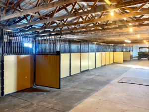 Portable Vinyl Horse Stalls