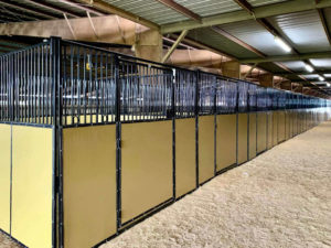 Portable Vinyl Horse Stalls