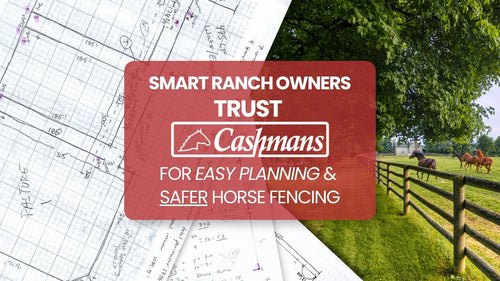  Smart Ranch Owners Trust Cashman's for Easy Planning and Safer Horse Fencing