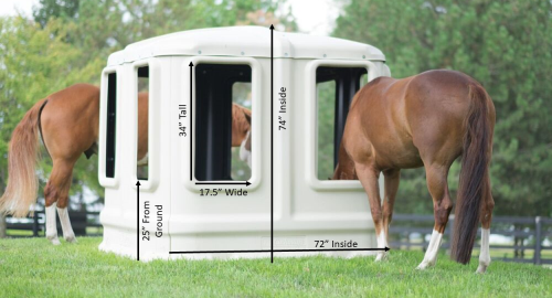 where to buy horse hay