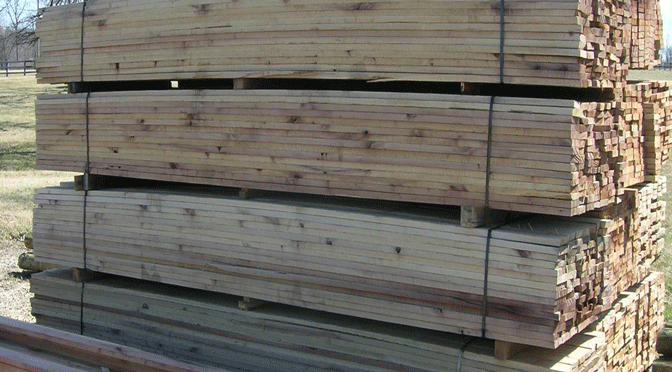 1 X 6 16 Poplar Board Cashmans Poplar Board