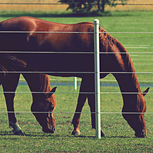 Centaur Coated Hi-Tensile