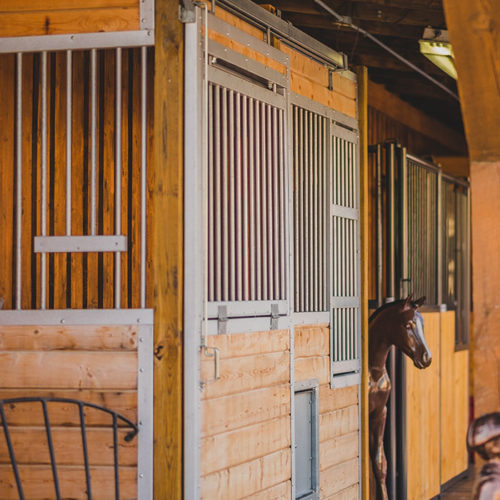 Horse Stalls