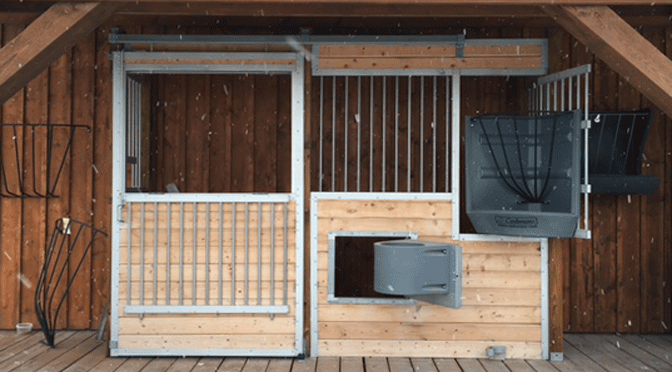 Cat In Horse Stall Video Cat In Horse Stall Video