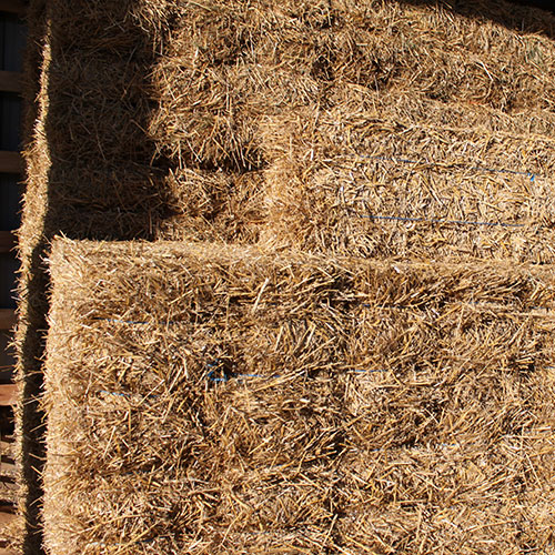 Horse Stall Bedding Cashmans