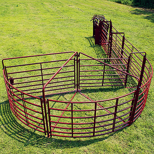 Cattle Equipment