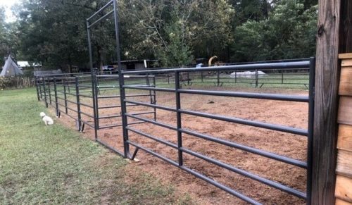 6' High Arena Packages